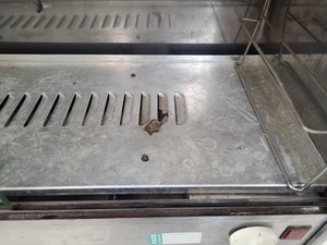 Thumbnail image of Corsair Manufacturing Model: CH 306 Laboratory Drying Cabinet Lab