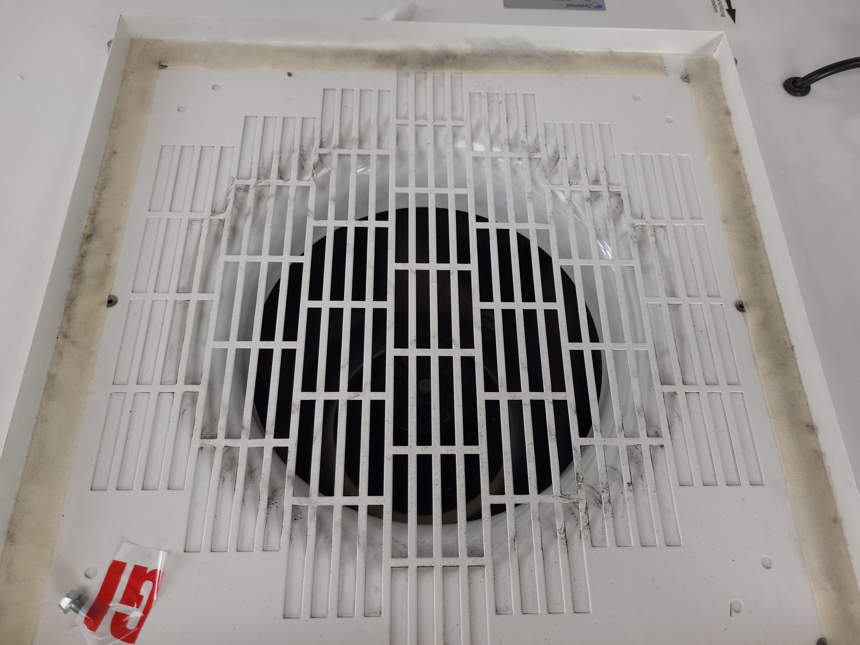 Image of Clean-Hood Series 1200 Laminar Flow Cabinet Lab