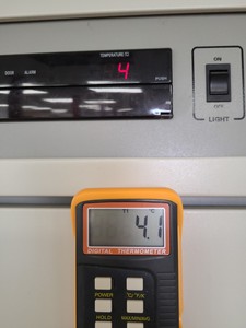 Thumbnail image of Sanyo LabCool Double Door Pharmaceutical Refrigerator  Model: MPR-1410 Lab