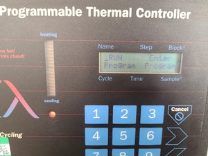 Thumbnail image of MJ Research Programmable Thermal Cycler  Model: PTC-100 Lab