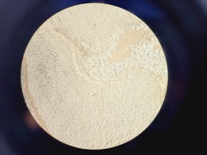 Thumbnail image of Nikon Eclipse TE200 Inverted Microscope & Power Supply Lab