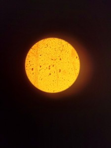 Thumbnail image of Olympus CH20 Compound Microscope  Model: CH20BIMF200 with 2 x Objectives Lab