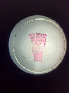 Thumbnail image of Kyowa Optical 1x, 3x, Stereo Zoom Microscope  Model: SE-L Lab