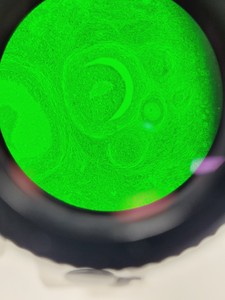 Thumbnail image of Nikon Eclipse TE300 Microscope Inverted Fluorescence Microscope Lab Faulty