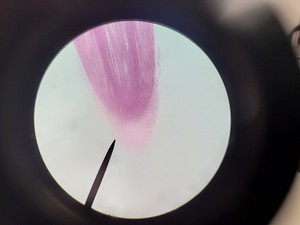 Thumbnail image of Leica ATC 2000 Compound Microscope with 4 x Achromatic Objectives Lab