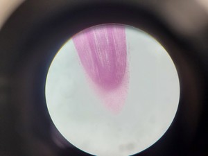 Thumbnail image of Leica ATC 2000 Compound Microscope with 4 x Achromatic Objectives Lab