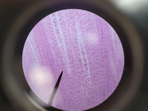 Thumbnail image of Leica ATC 2000 Compound Microscope with 4 x Achromatic Objectives Lab