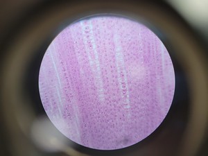 Thumbnail image of Leica ATC 2000 Compound Microscope with 4 x Achromatic Objectives Lab