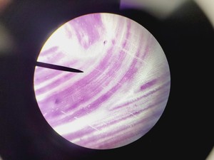 Thumbnail image of Leica ATC 2000 Compound Microscope with 4 x Objectives - Achro OIL Lab