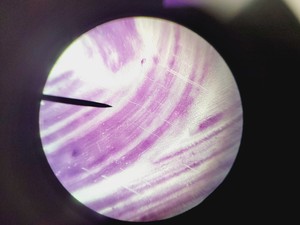 Thumbnail image of Leica ATC 2000 Compound Microscope with 4 x Objectives - Achro OIL Lab