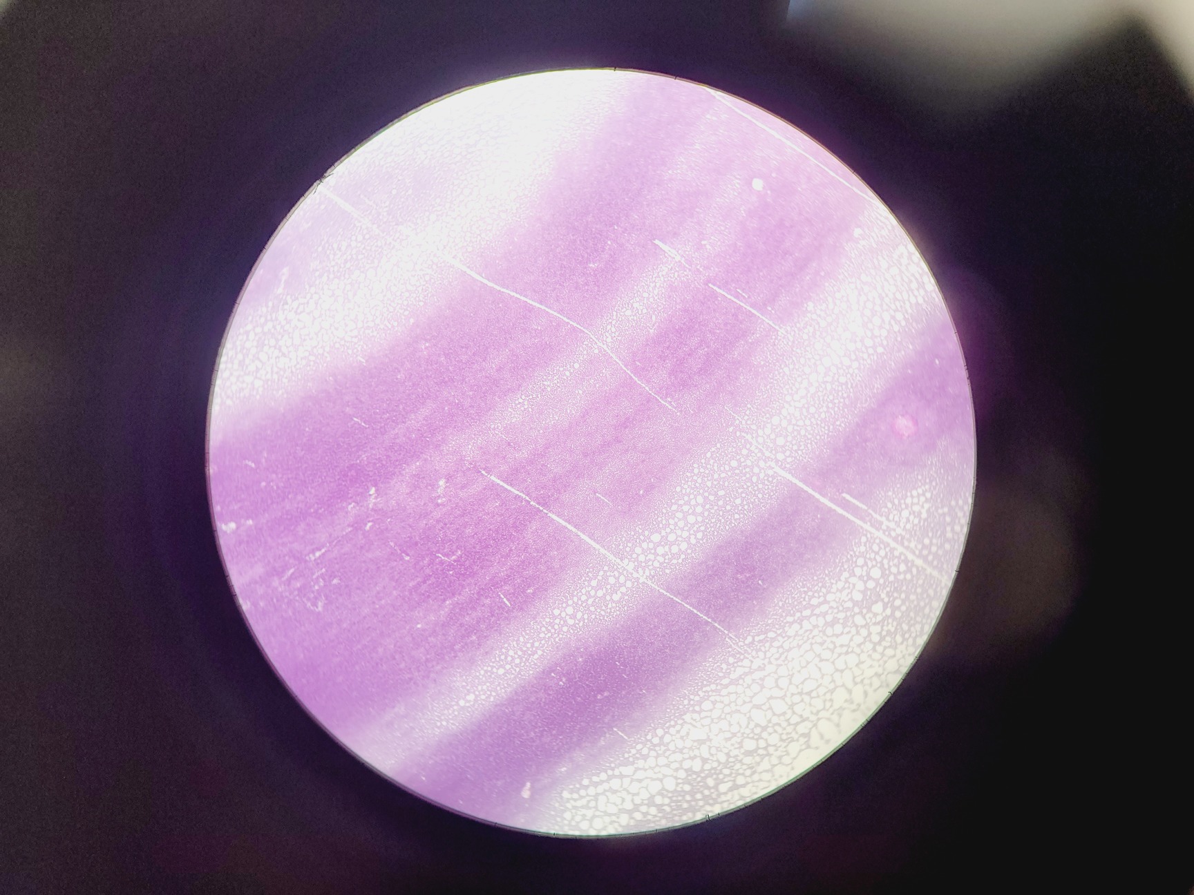 Image of Leica ATC 2000 Compound Microscope with 4 x Objectives - Achro OIL Lab