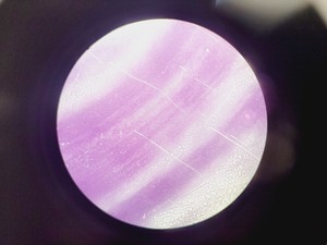 Thumbnail image of Leica ATC 2000 Compound Microscope with 4 x Objectives - Achro OIL Lab