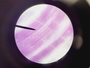 Thumbnail image of Leica ATC 2000 Compound Microscope with 4 x Objectives - Achro OIL Lab
