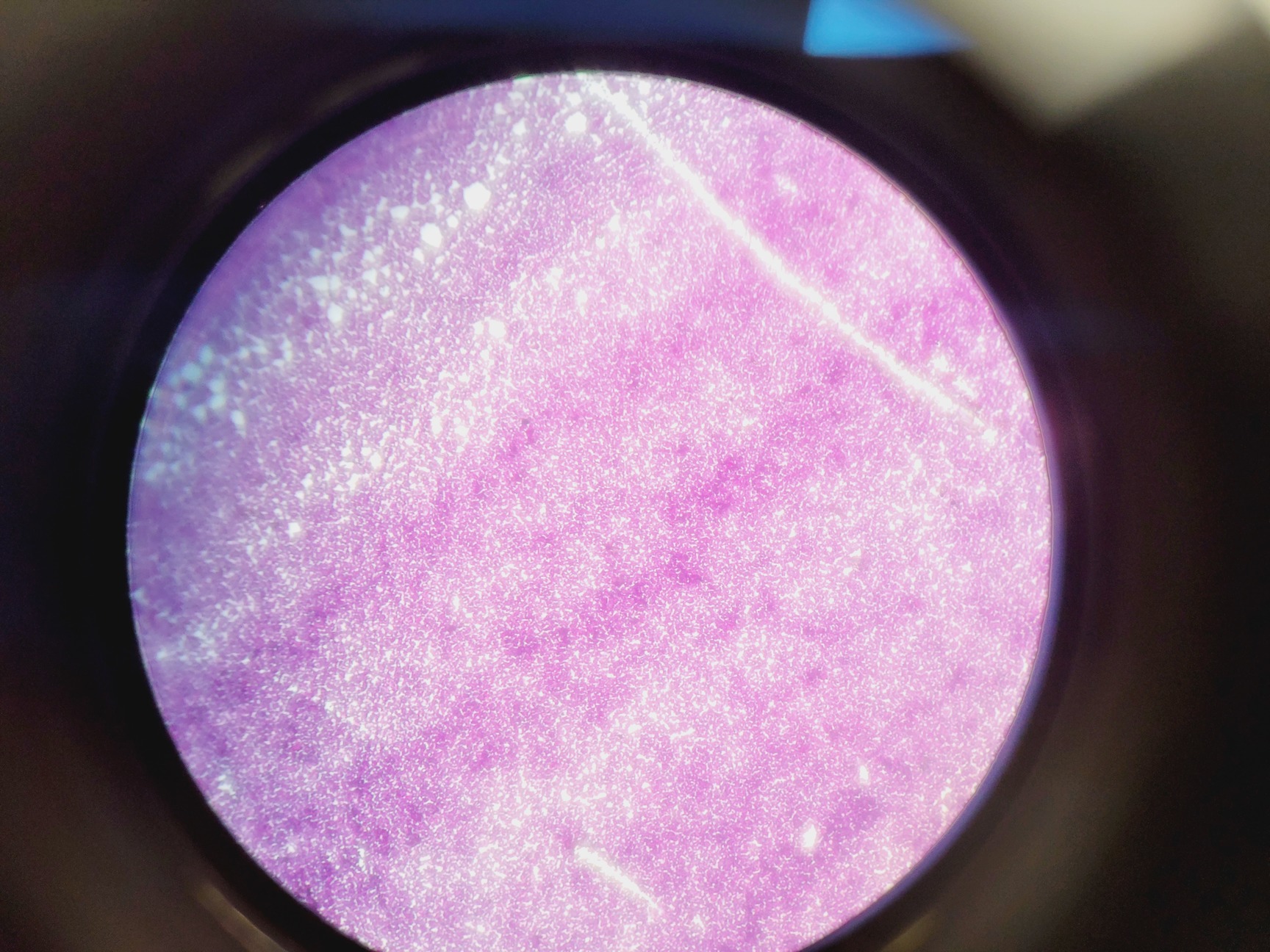 Image of Leica ATC 2000 Compound Microscope with 4 x Objectives - Achro OIL Lab