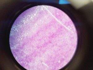 Thumbnail image of Leica ATC 2000 Compound Microscope with 4 x Objectives - Achro OIL Lab