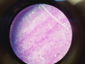 Thumbnail image of Leica ATC 2000 Compound Microscope with 4 x Objectives - Achro OIL Lab