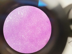 Thumbnail image of Leica ATC 2000 Compound Microscope with 4 x Objectives - Achro OIL Lab