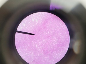 Thumbnail image of Leica ATC 2000 Compound Microscope with 4 x Objectives - Achro OIL Lab