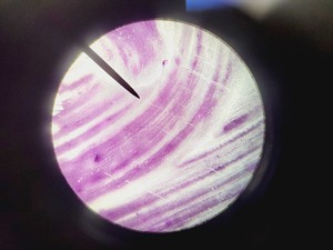 Thumbnail image of Leica ATC 2000 Compound Microscope with 4 x Objectives - Achro OIL Lab