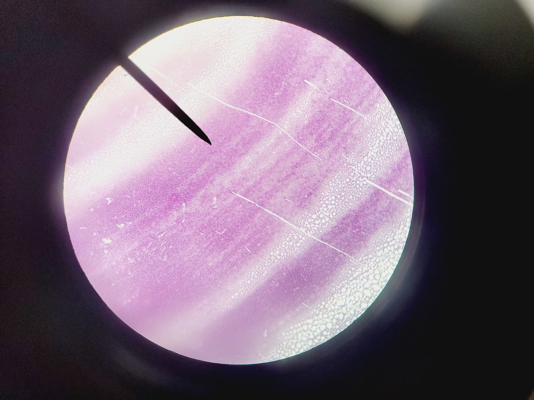 Image of Leica ATC 2000 Compound Microscope with 4 x Objectives - Achro OIL Lab