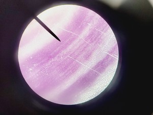 Thumbnail image of Leica ATC 2000 Compound Microscope with 4 x Objectives - Achro OIL Lab