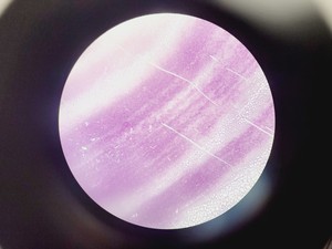 Thumbnail image of Leica ATC 2000 Compound Microscope with 4 x Objectives - Achro OIL Lab