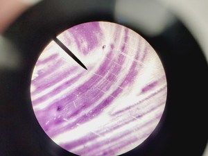 Thumbnail image of Leica ATC 2000 Compound Microscope with 4 x Objectives - Achro OIL Lab