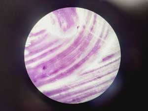 Thumbnail image of Leica ATC 2000 Compound Microscope with 4 x Objectives - Achro OIL Lab
