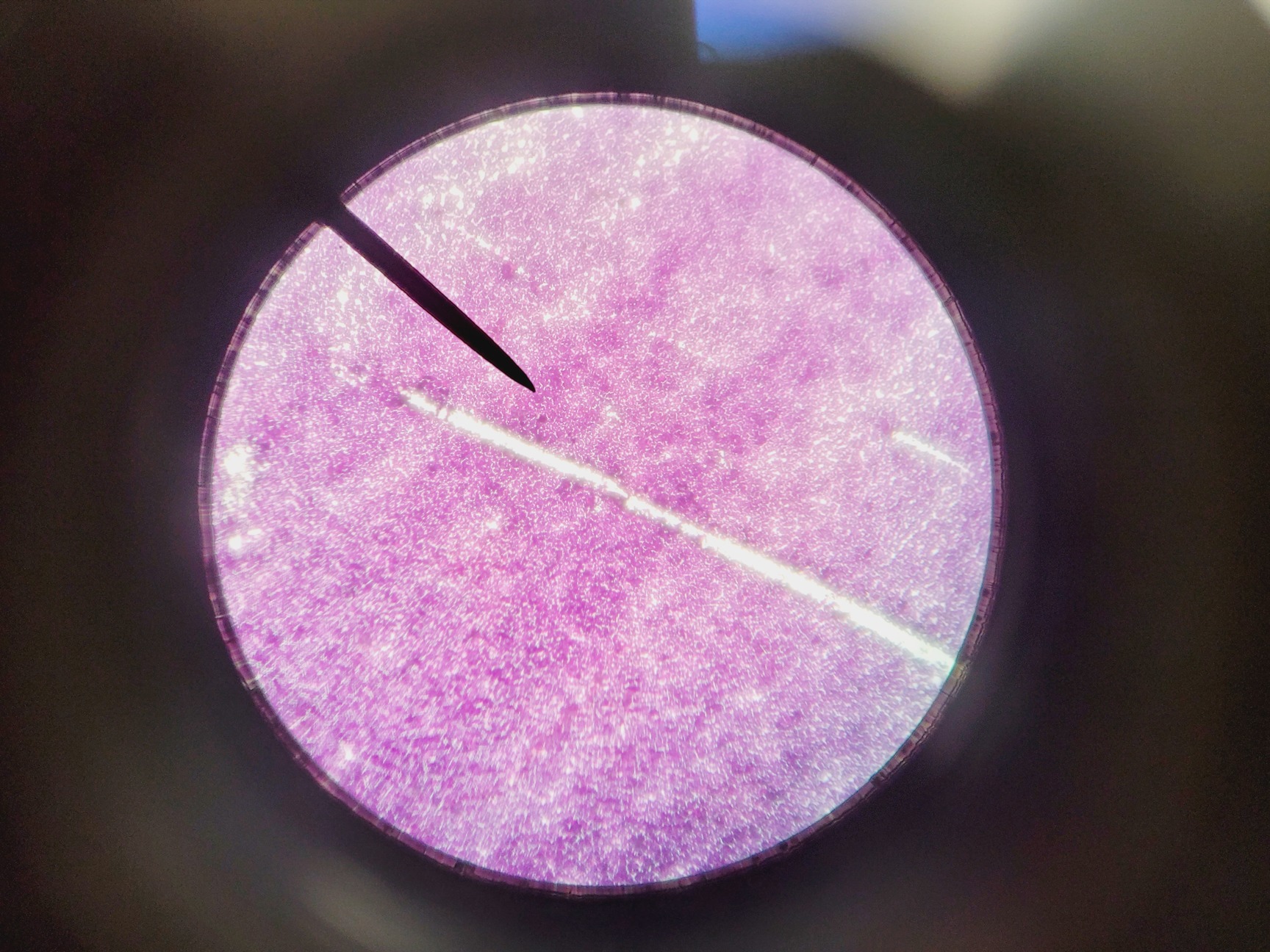 Image of Leica ATC 2000 Compound Microscope with 4 x Objectives - Achro OIL Lab