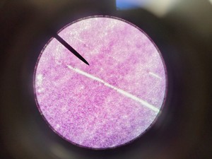 Thumbnail image of Leica ATC 2000 Compound Microscope with 4 x Objectives - Achro OIL Lab