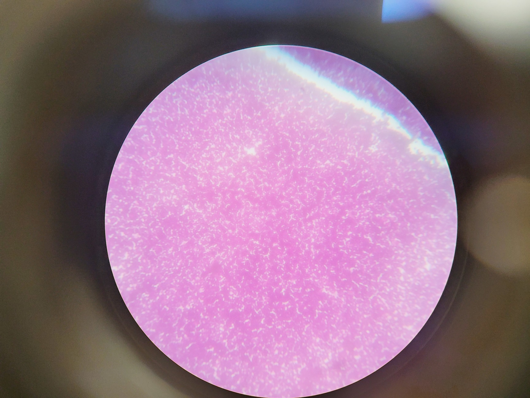 Image of Leica ATC 2000 Compound Microscope with 4 x Objectives - Achro OIL Lab