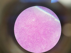 Thumbnail image of Leica ATC 2000 Compound Microscope with 4 x Objectives - Achro OIL Lab