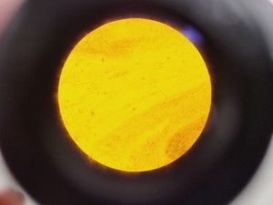 Thumbnail image of Brunel Microscopes Phase Contrast Inverted Trinocular Microscope 