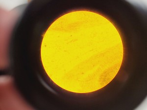 Thumbnail image of Brunel Microscopes Phase Contrast Inverted Trinocular Microscope 