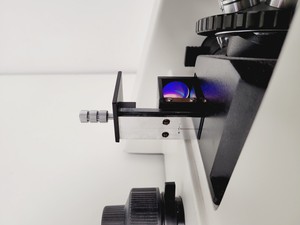 Thumbnail image of Brunel Microscopes Phase Contrast Inverted Trinocular Microscope 