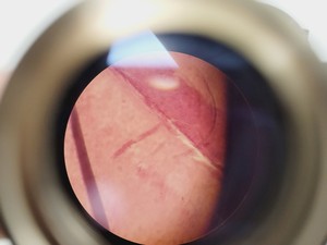 Thumbnail image of CETI TOPIC- B Laboratory Compound Binocular Microscope with 3 x Objective Lab