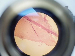 Thumbnail image of CETI TOPIC- B Laboratory Compound Binocular Microscope with 3 x Objective Lab