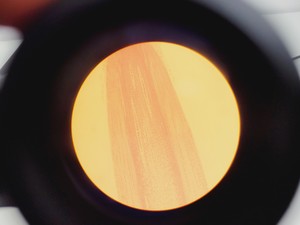 Thumbnail image of Olympus CK2 Inverted Phase Contrast Microscope with 3 x Objectives CK2-TR Lab