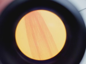 Thumbnail image of Olympus CK2 Inverted Phase Contrast Microscope with 3 x Objectives CK2-TR Lab