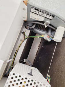 Thumbnail image of Gelaire Laminarflow Twin 30 Laminar Flow Cabinet Lab