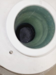 Thumbnail image of Jencons Taylor Wharton 25L Liquid Nitrogen Dewar  Model 25LD Lab