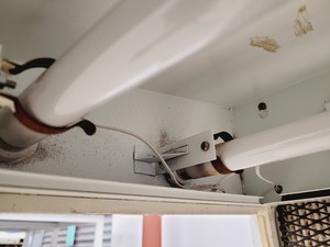 Thumbnail image of Microflow Pathfinder Laminar Flow Cabinet Lab