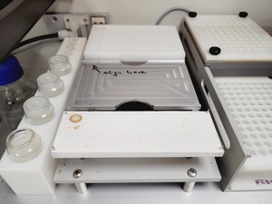 Thumbnail image of Intavis Bioanalytical Instruments DigestPro MSi Automated Protein Digestion Unit