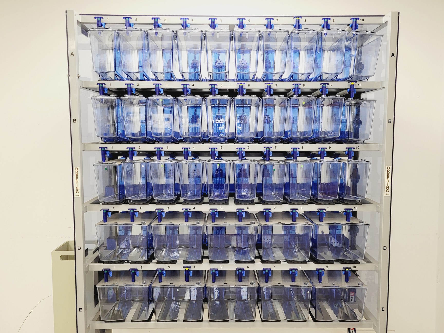 Image of Tecniplast Quarantine Rack Fish Tank System ZebTEC & ZB1020MN2AB Power Box