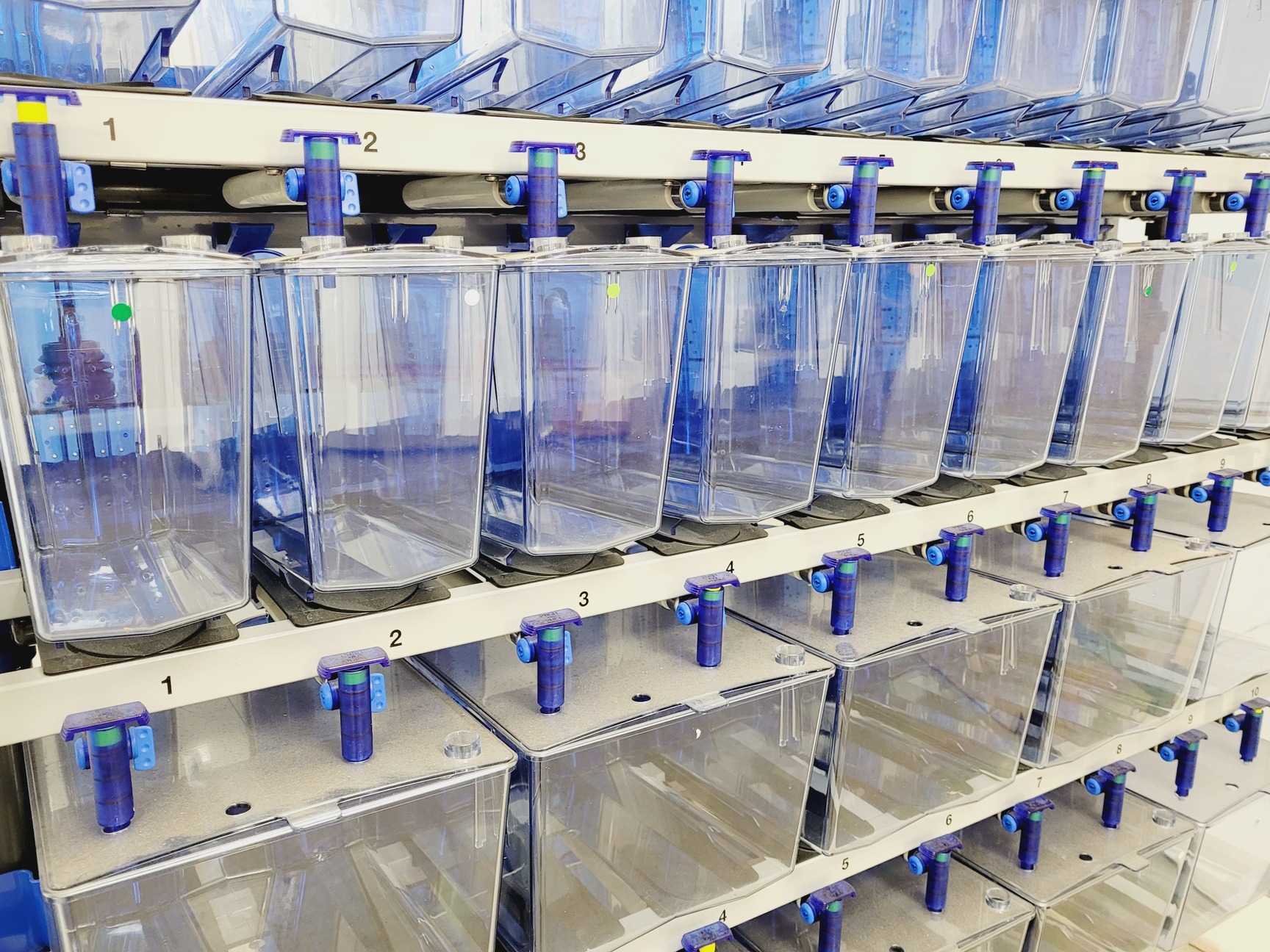 Image of Tecniplast Quarantine Rack Fish Tank System ZebTEC & ZB1020MN2AB Power Box
