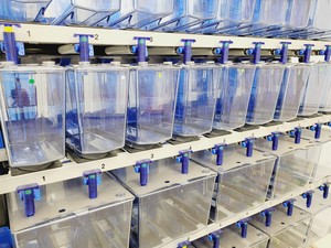 Thumbnail image of Tecniplast Quarantine Rack Fish Tank System ZebTEC & ZB1020MN2AB Power Box