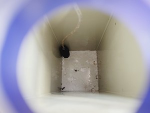 Thumbnail image of Tecniplast Quarantine Rack Fish Tank System ZebTEC & ZB1020MN2AB Power Box