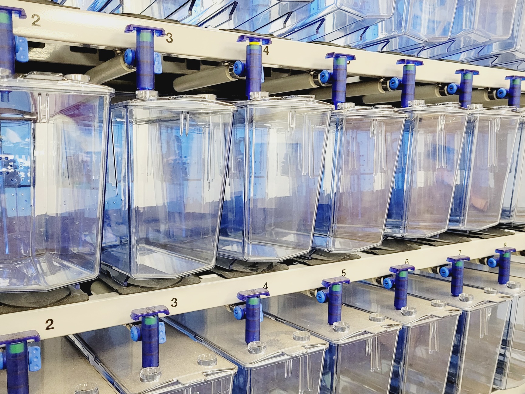 Image of Tecniplast Quarantine Rack Fish Tank System ZebTEC  with ZB1020MN2AB Power Box