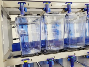 Thumbnail image of Tecniplast Quarantine Rack Fish Tank System ZebTEC  with ZB1020MN2AB Power Box