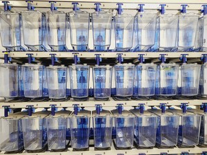 Thumbnail image of Tecniplast Quarantine Rack Fish Tank System ZebTEC  with ZB1020MN2AB Power Box